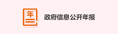 政府信息公开年报