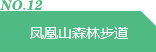 凤凰山森林步道