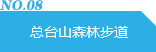 总台山森林步道