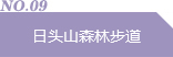 日头山森林步道