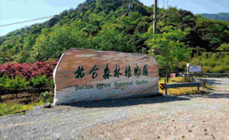 北仑森林植物园