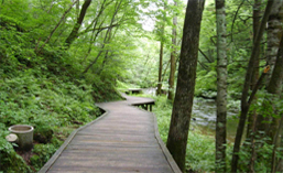 北仑百公里森林步道