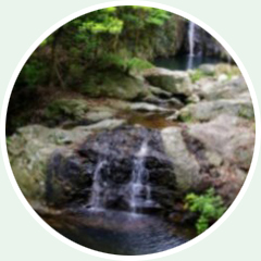 虾蜡龙潭森林步道