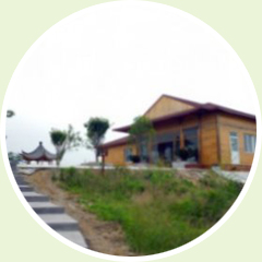 凤凰山森林步道