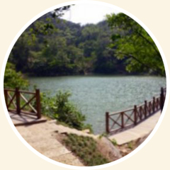 老鹰山森林步道