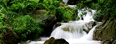 笑天龙一八大坑森林步道