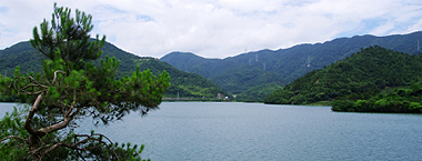 云雩山森林步道