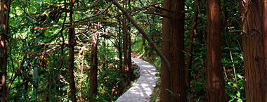 里外峰岭森林步道