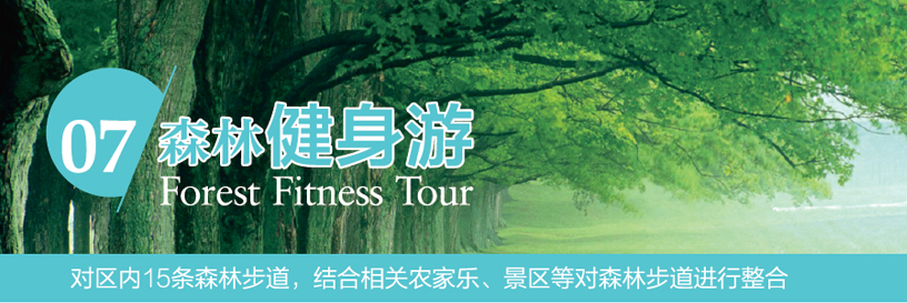 森林健身游