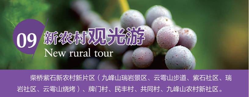 新农村观光游